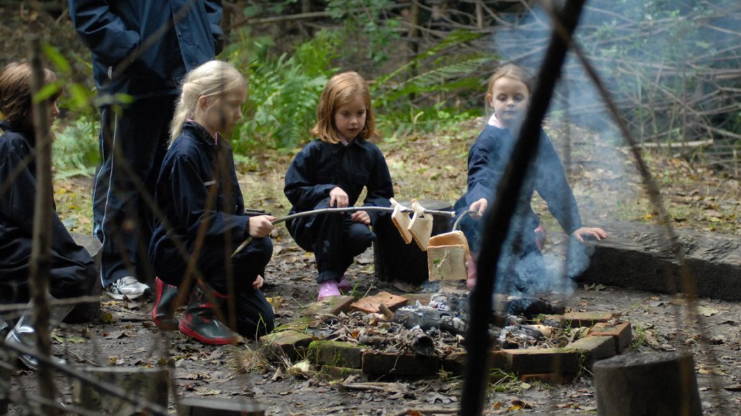 "West Hill Park School - школа смешанного типа - 4"