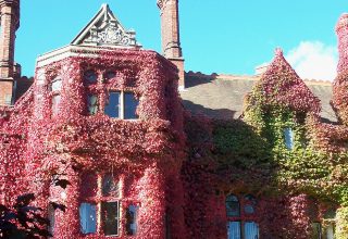 "Regent Language Training - английский для взрослых"