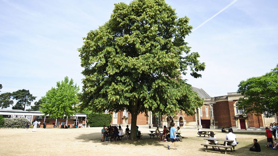 "Royal Russell - школа совместного типа - 4"