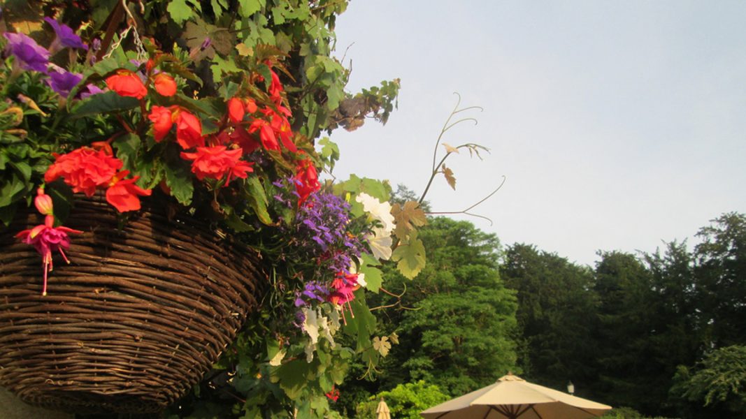 "Prior Park - английский для детей - 3"