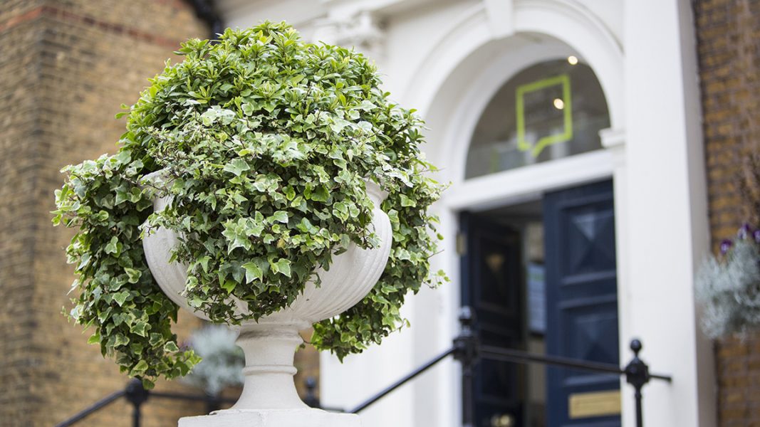 "London School of English - английский для взрослых"