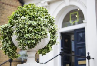 "London School of English - английский для взрослых"