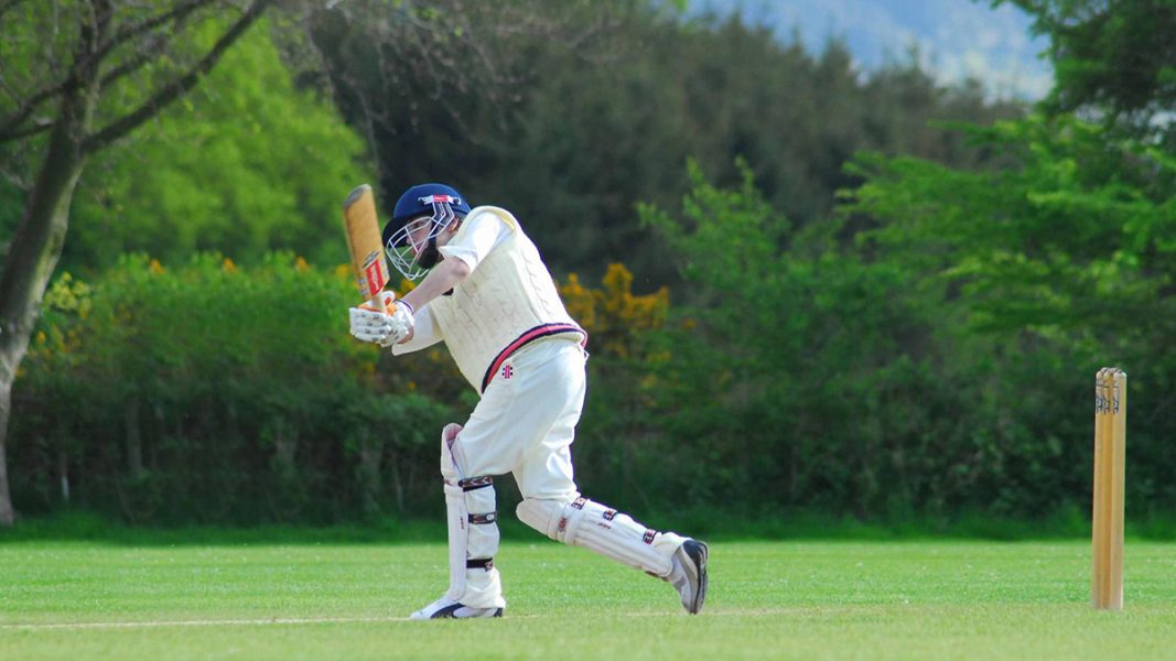 "West Hill Park School - школа смешанного типа - 3"