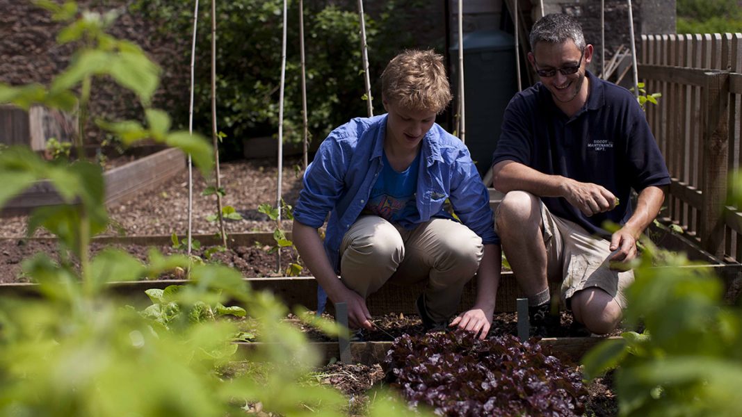 Sidcot School - школы-пансионы в Англии - 5